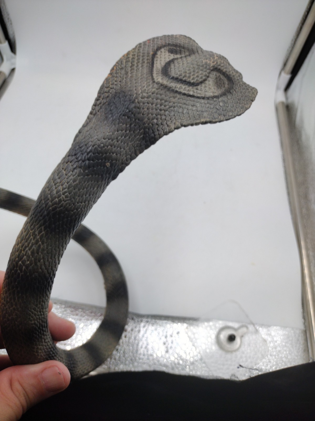 Safari Ltd. Cobra Snake Figure Bendable 34″ Realistic Reptile Vintage 1998 Toy