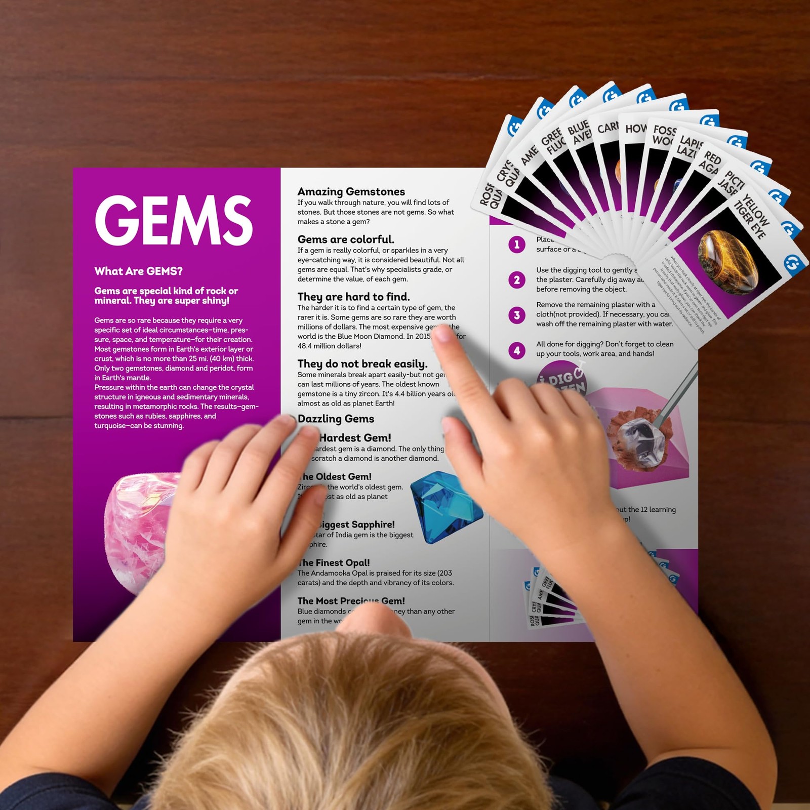 Gemstone Dig Kit, Dig Up 12 Real Rocks and Minerals, Gem Digging Kit, Toy Geo…