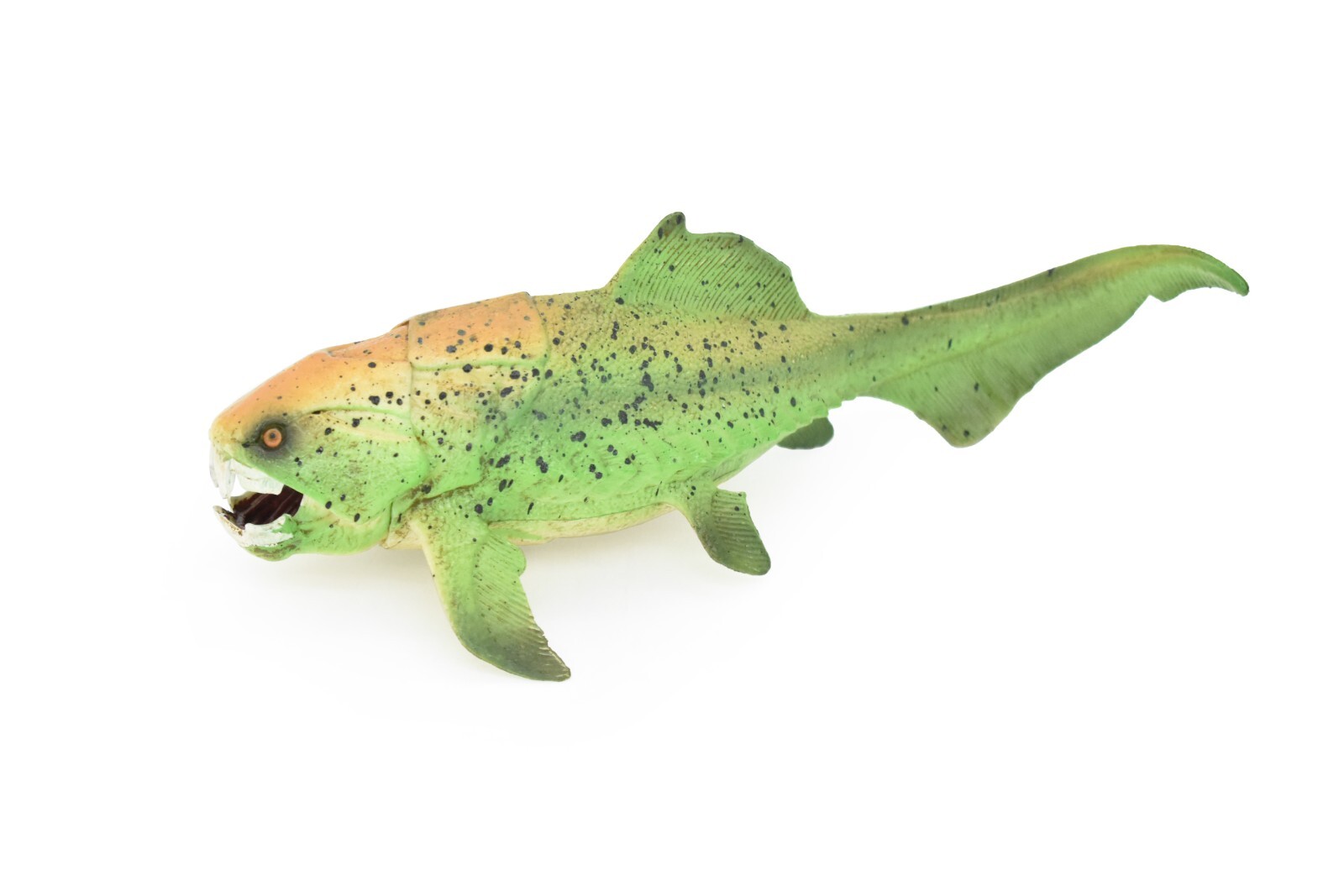 Dunkleosteus, Prehistoric Fish Dinosaur, Realistic Rubber Model Hand Painted Toy