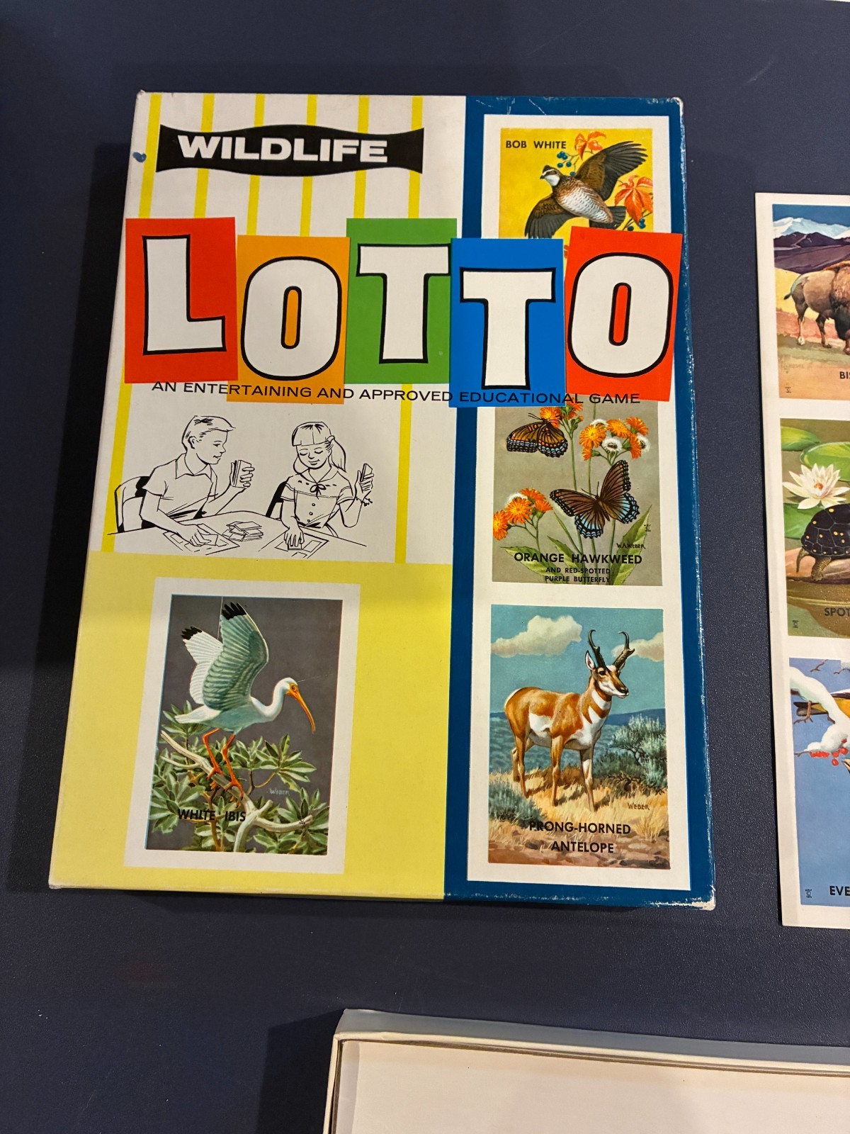Vintage Lotto Wildlife Childrens Educational And Entertaining Game #20015