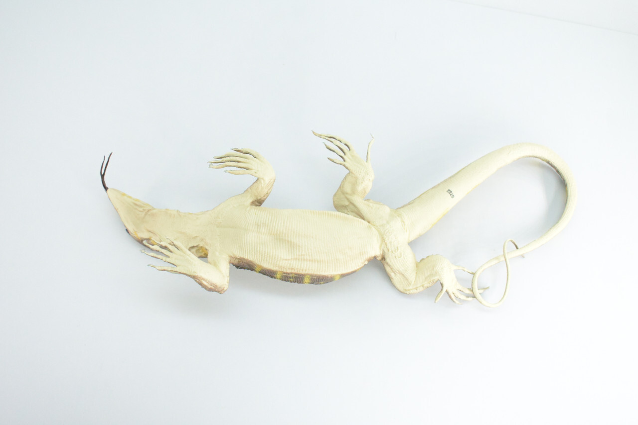 Realistic Monitor Lizard Toy Hard Rubber Lizard, Reptile, Model, 13″ IM20 B656