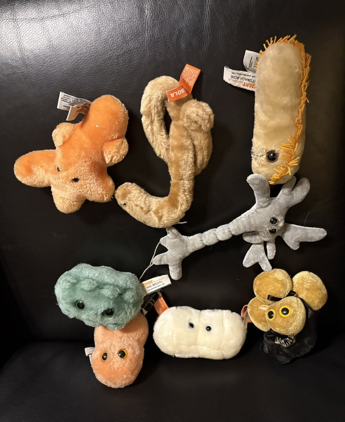 Giant Microbes Educational Science Germs & Organs Plush Lot (7 pcs) Age 8-11