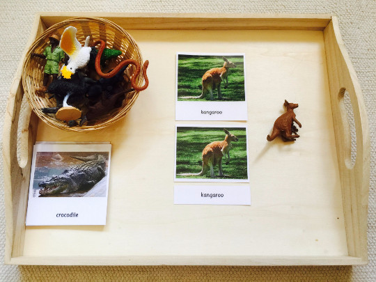 Montessori Knowing Australia 3 Parts Cards with Miniatures