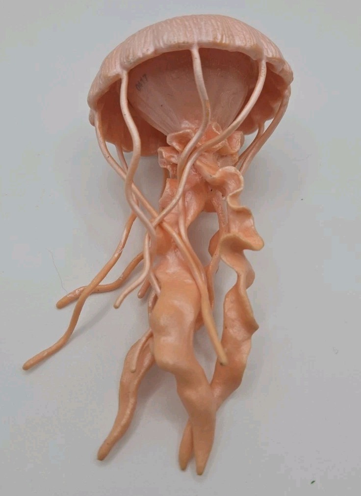 Jellyfish Incredible Creatures Figure Safari Ltd 2013