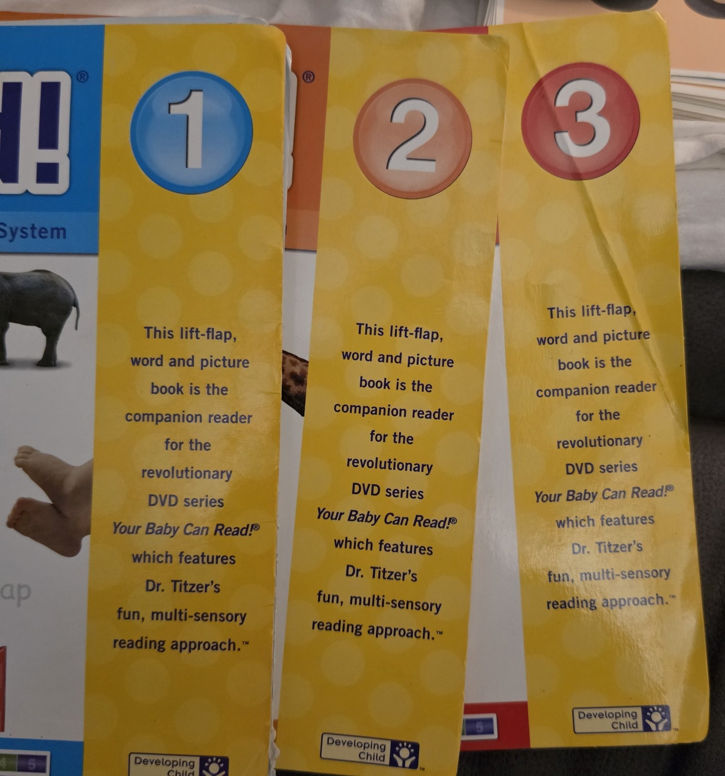 Your Baby Can Read Early Language Development Series DVDs And Word Cards