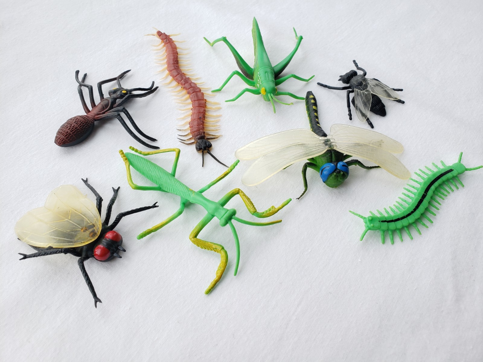 Lot of 8 Toy Insects Bugs Praying Mantis Grasshopper Centipede Fly Educational