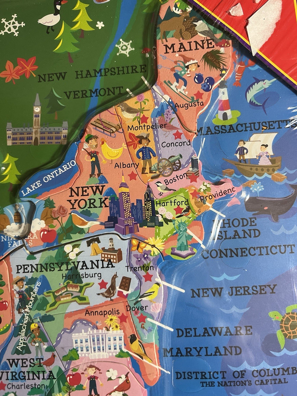 T.S. Shure UNITED STATES of AMERICA MAP-Learning Activity-HOMESCHOOL/School Aid