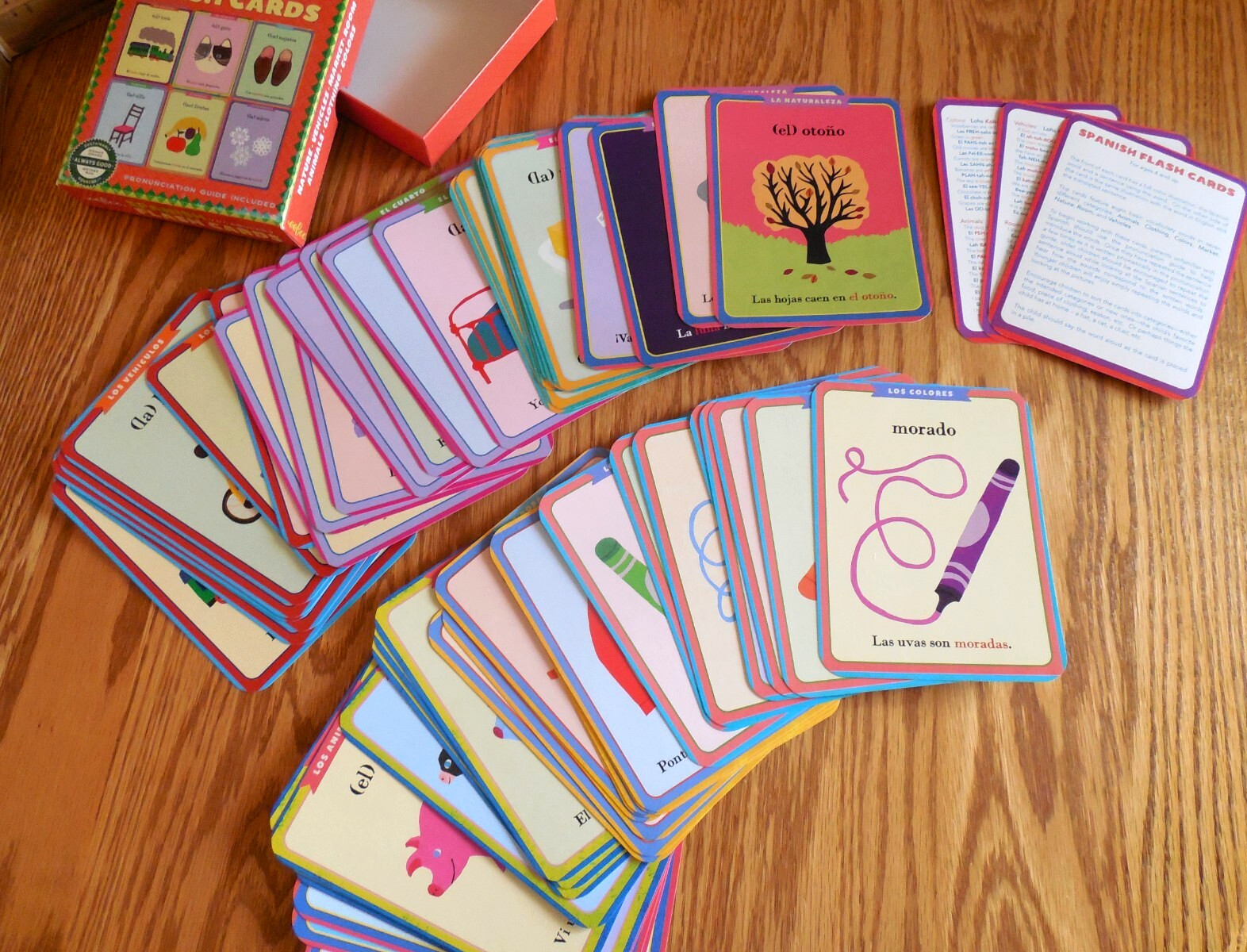 MINT 2018 eeBoo “Spanish Vocabulary Flash Cards” w Pronunciation Guide Ages 4+