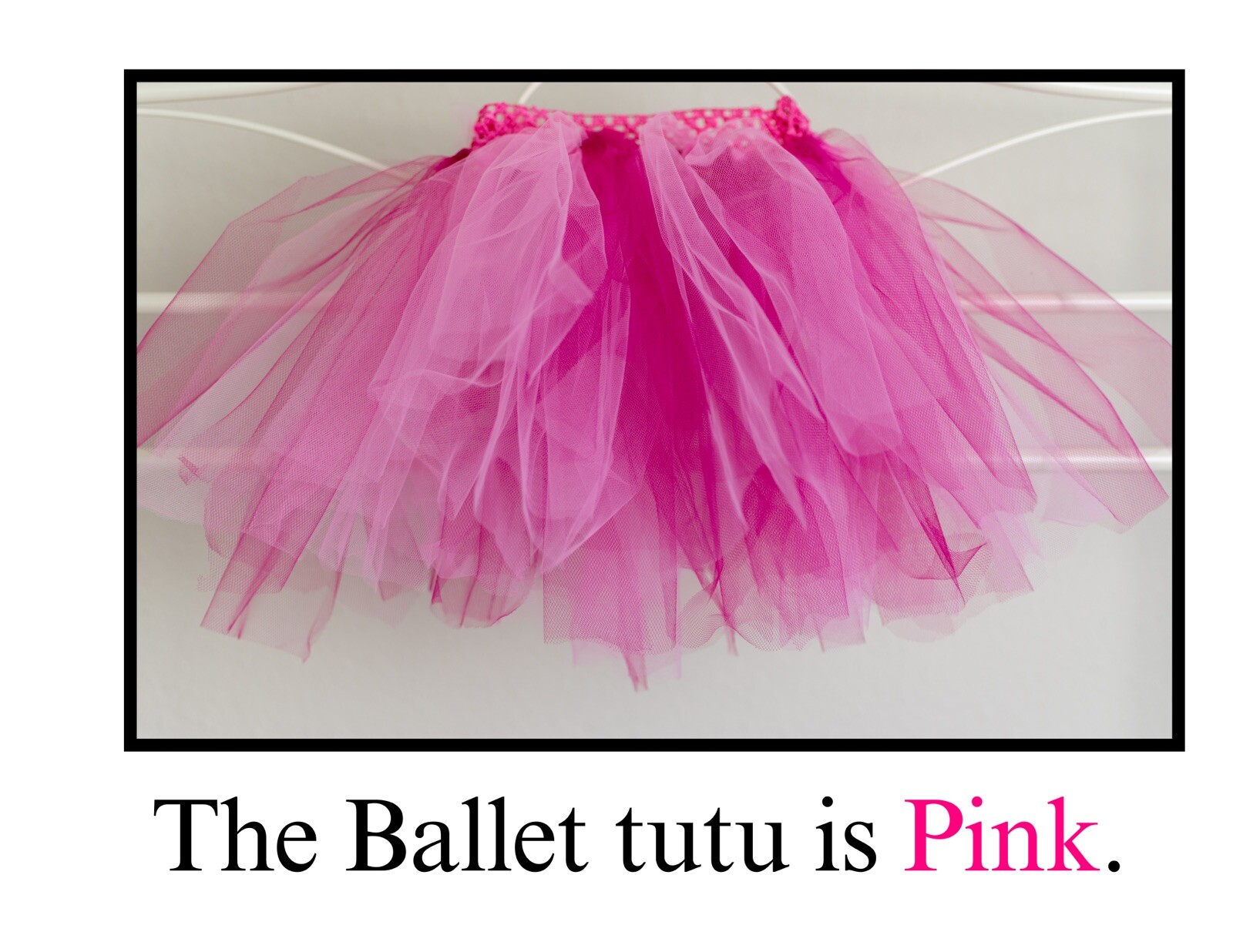 Pink | Piggley Wiggley Pink| LEARNING COLORS | Spiral Bound Picture Book