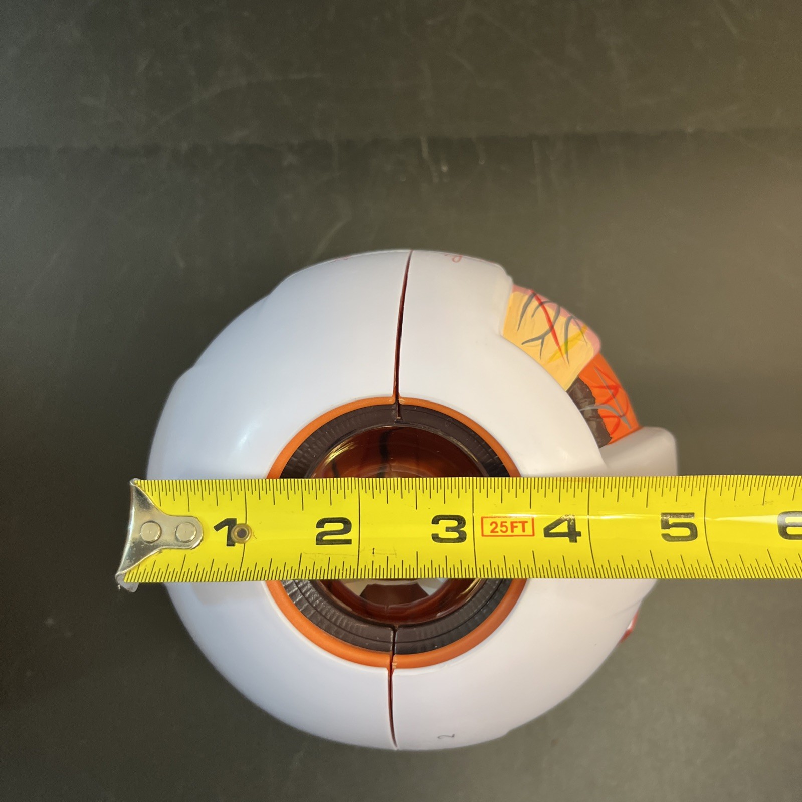 6X Enlarged Human Eye Anatomical Model for Science Classroom Teaching Display