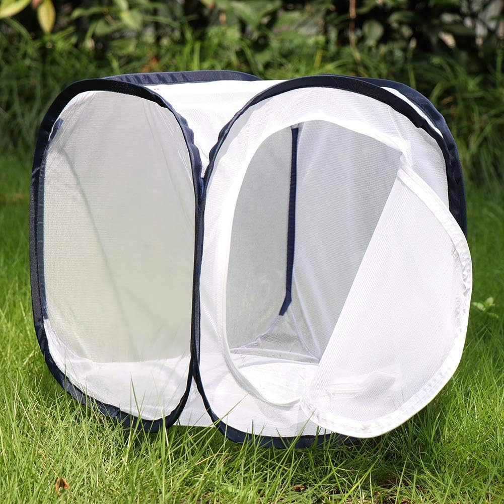 Insect and Butterfly Habitat Cage Terrarium Pop-Up 12 X 12 X 12 Inches