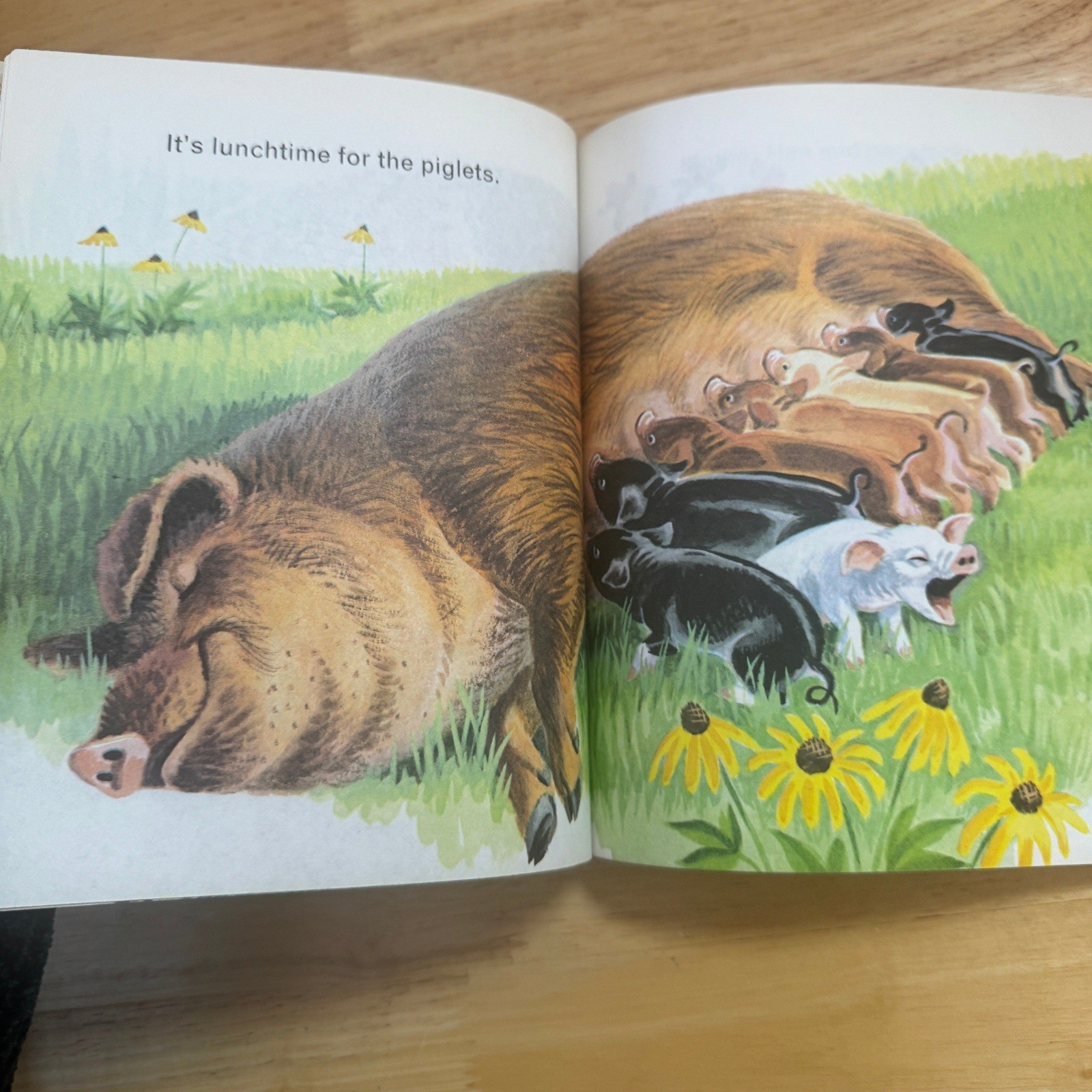 Animals on the Farm Little Golden Book 1979 Jan Pfloog Classic Childrens Book
