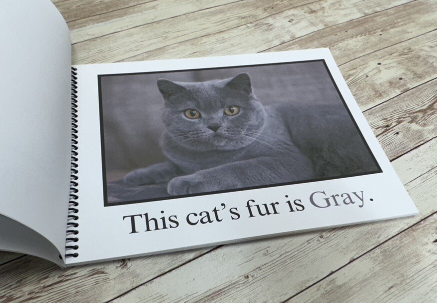 Gray | Guess Who Is Gray? | LEARNING COLORS | Spiral Bound Picture Book