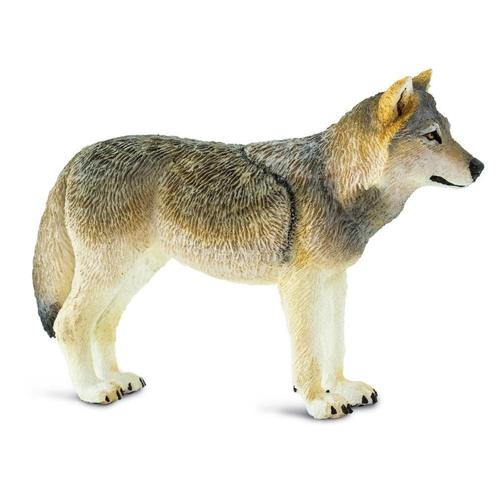 GRAY WOLF Animal Figurine Safari Ltd toy North American Safari Collection