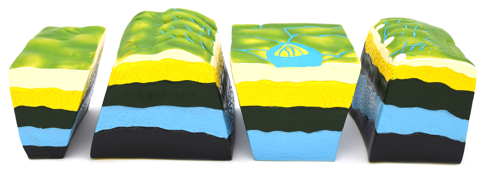 Fact & Fault Model – Geology Tectonics Study Model – Eisco Labs