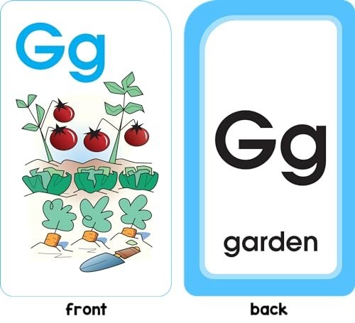 School Zone – Alphabet Fun Flash Cards – Ages 4 to 6, Preschool to Kindergarten