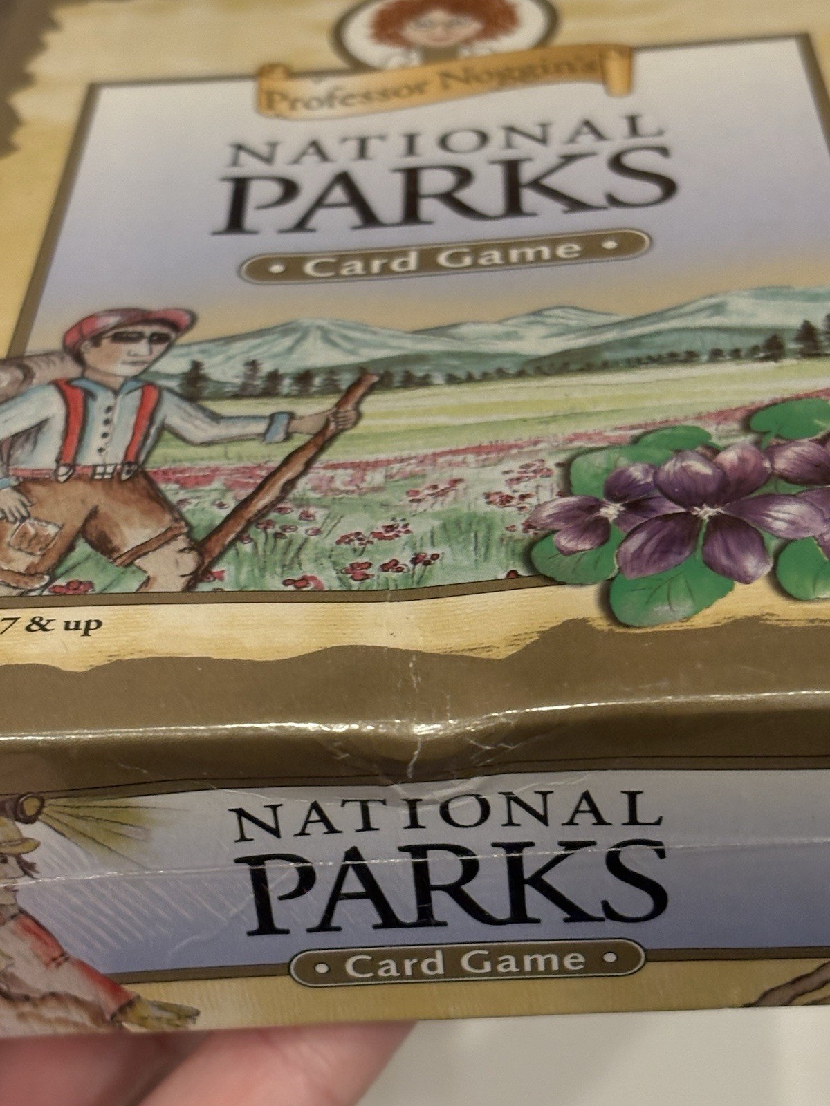 NEW Lot of 2 Professor Noggin’s Card Games National Parks & Birds North America