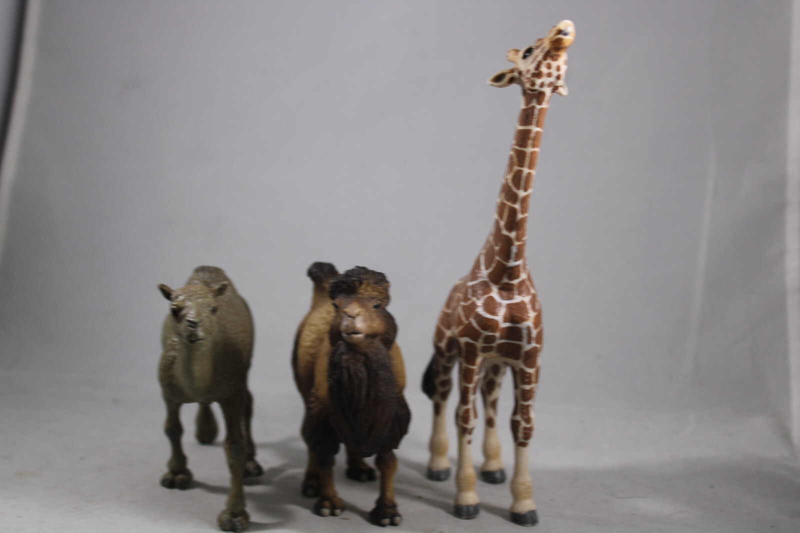 DROMEDARY Bactrain CAMEL Animal Figurine Safari Ltd. toy Figure Giraffe