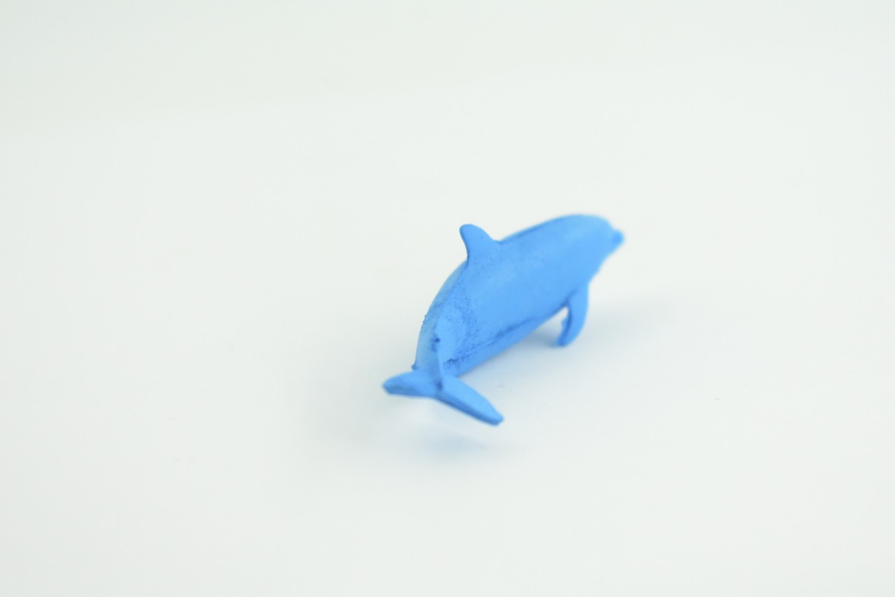 Toy Blue Dolphin Cichlid, Realistic, Replica, Kids, Gift, 2 Inches CWG52 B197