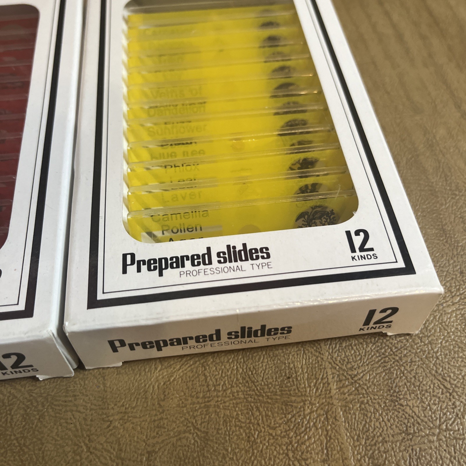 Prepared Microscope Slides 24 Professional Type Insect & Plant Parts