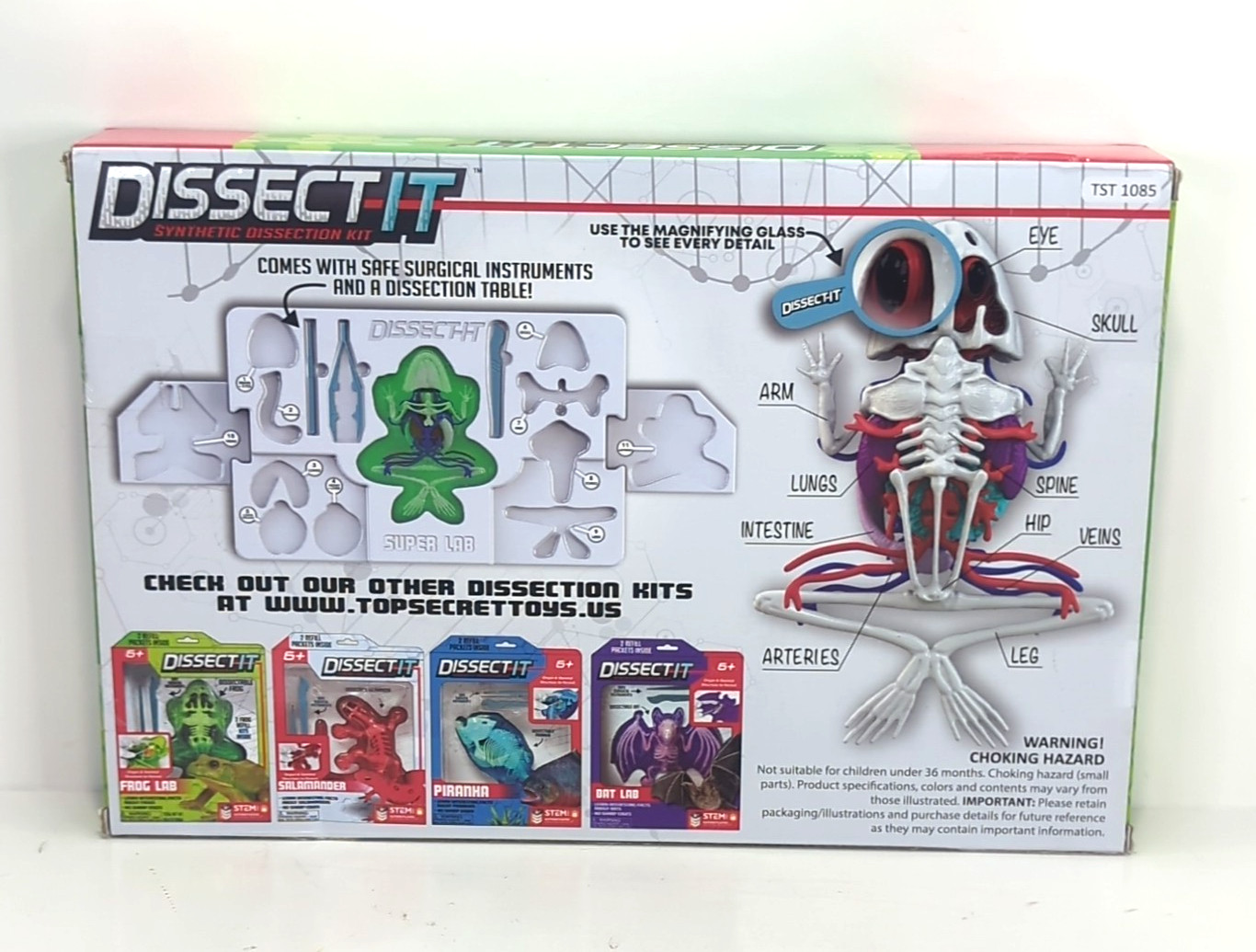 Rehco Toys 2019 STEM Dissect-It Frog Synthetic Dissection Kit New & Sealed NIB