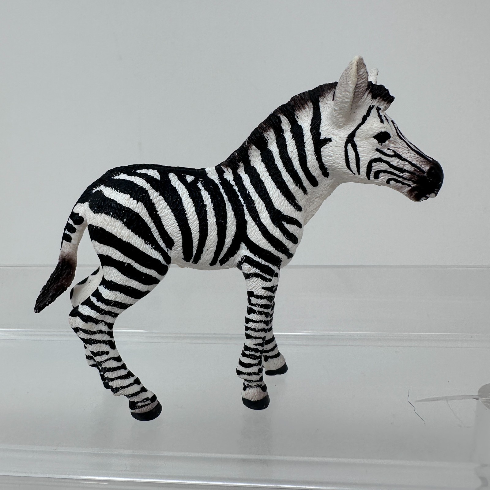 Schleich Zebra Foal Figure Black White Striped Baby Horse Animal Figurine 3″