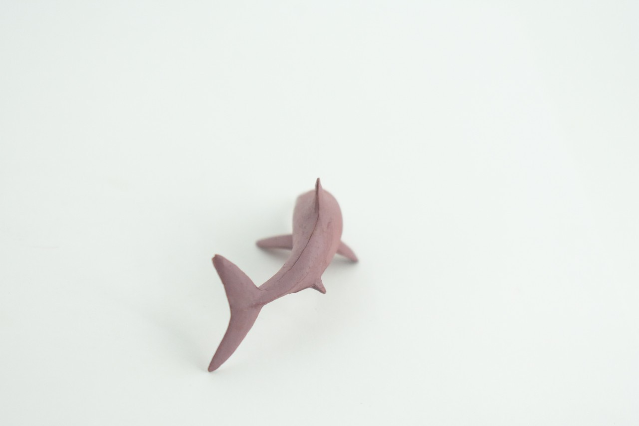 Toy Pink Dolphin, Indo-Pacific Humpback Dolphin, Realistic 2.5 Inches CWG50 B197