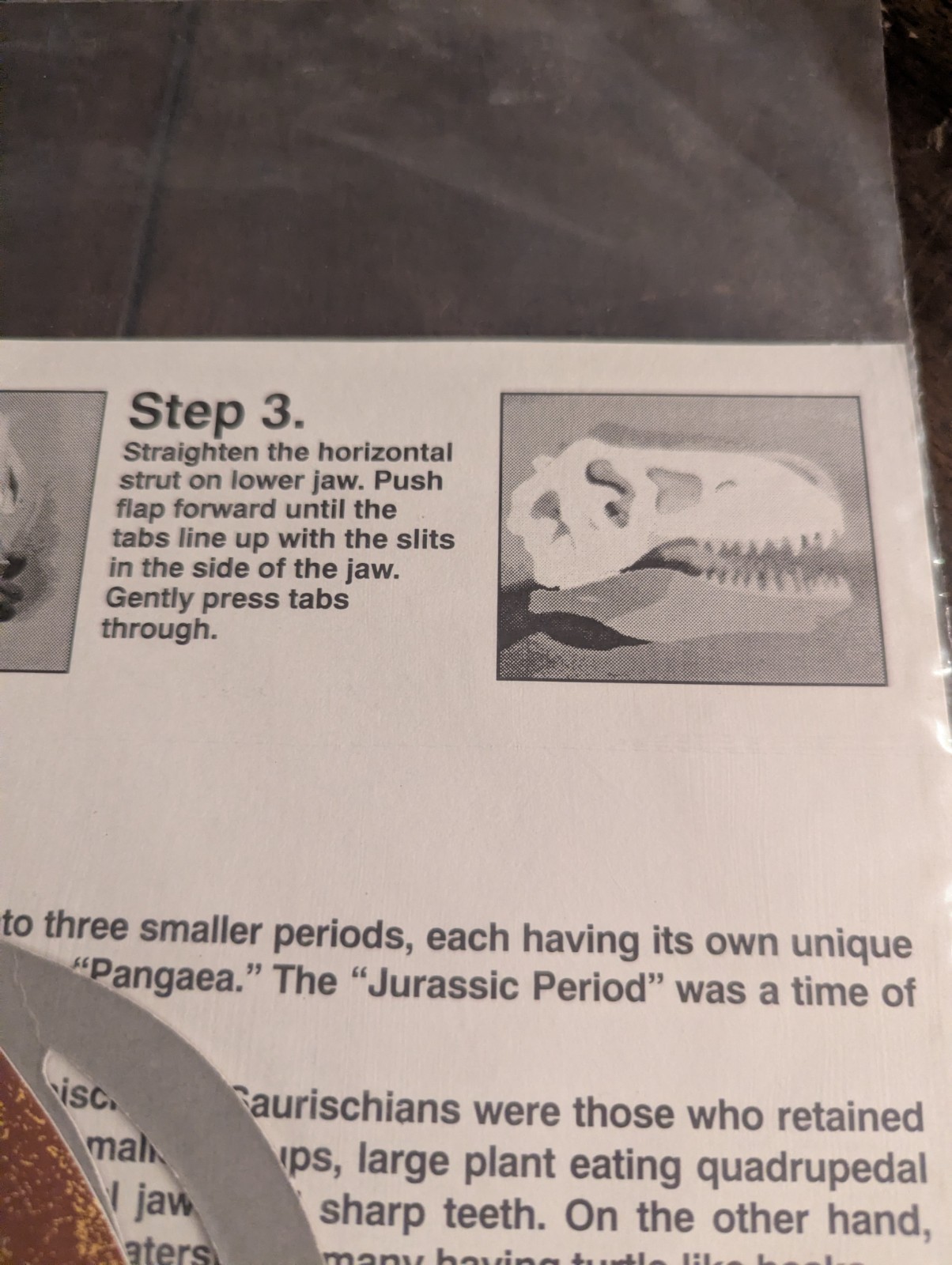 Dinosaur 3-D Paper Skull TYRANNOSAURUS Vintage 1993 Model Fossil New SEALED