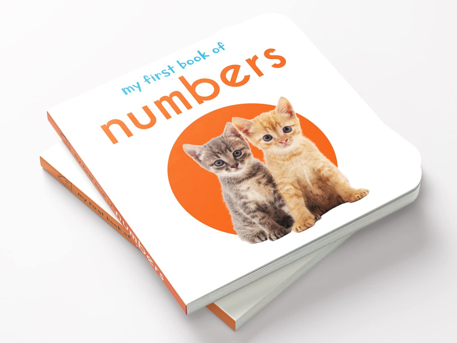 My First Book of Numbers: Board White