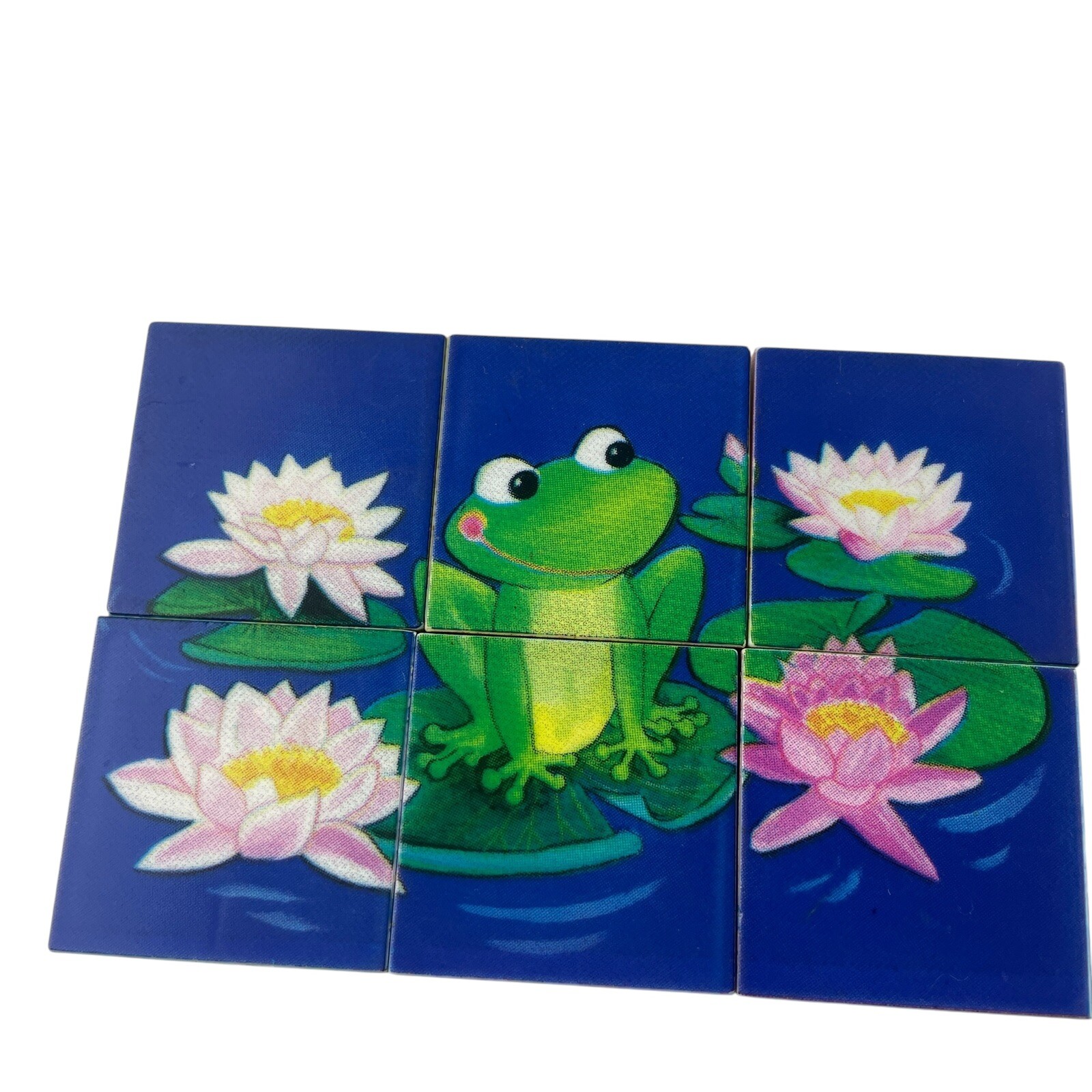 Ravensburger Block Puzzle Animals 6 Sided Childrens Duck Frog Fish Butterfly
