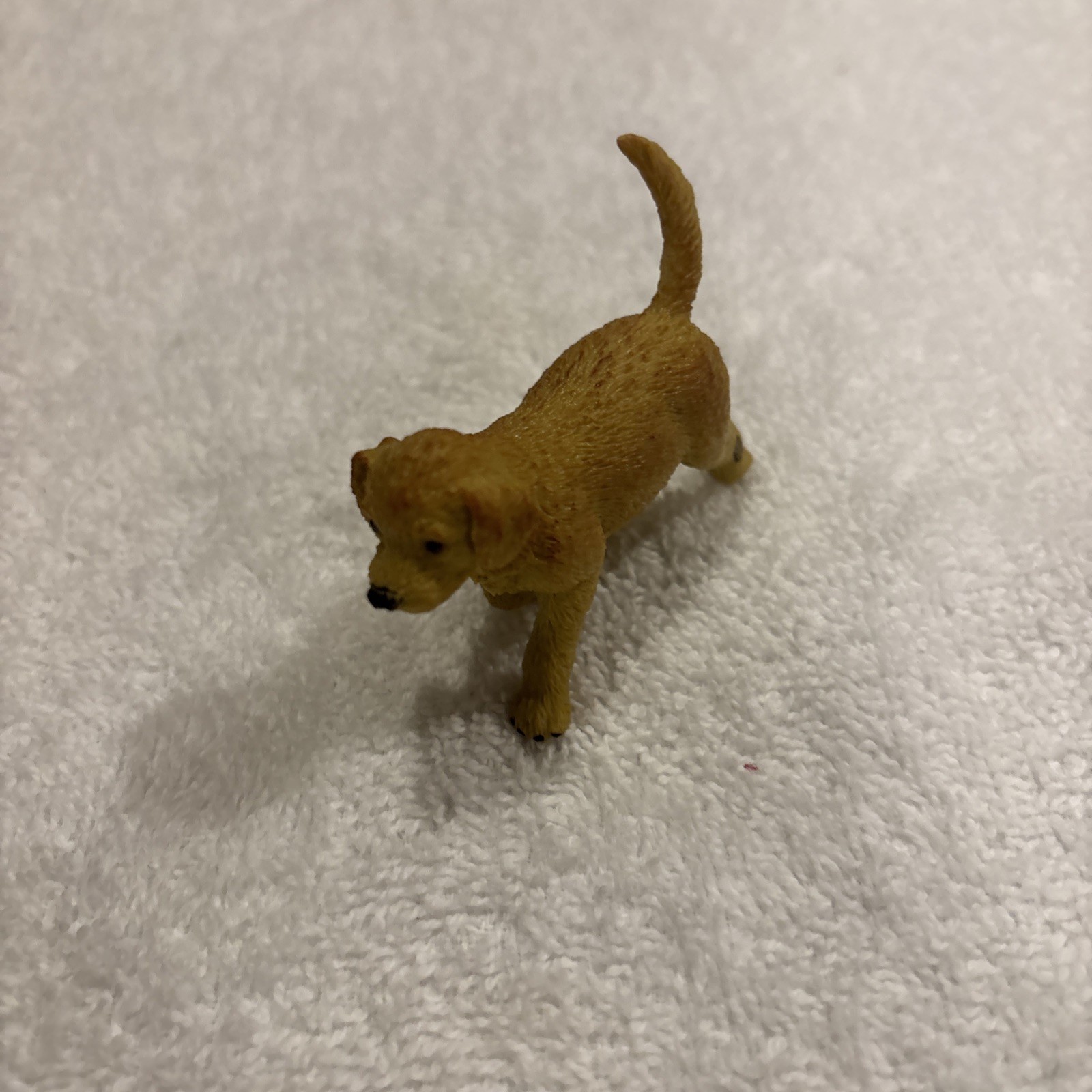 Safari Ltd Animals Lot Of 4 Eagle Reindeer Coyote And Golden Retriever 2000’s