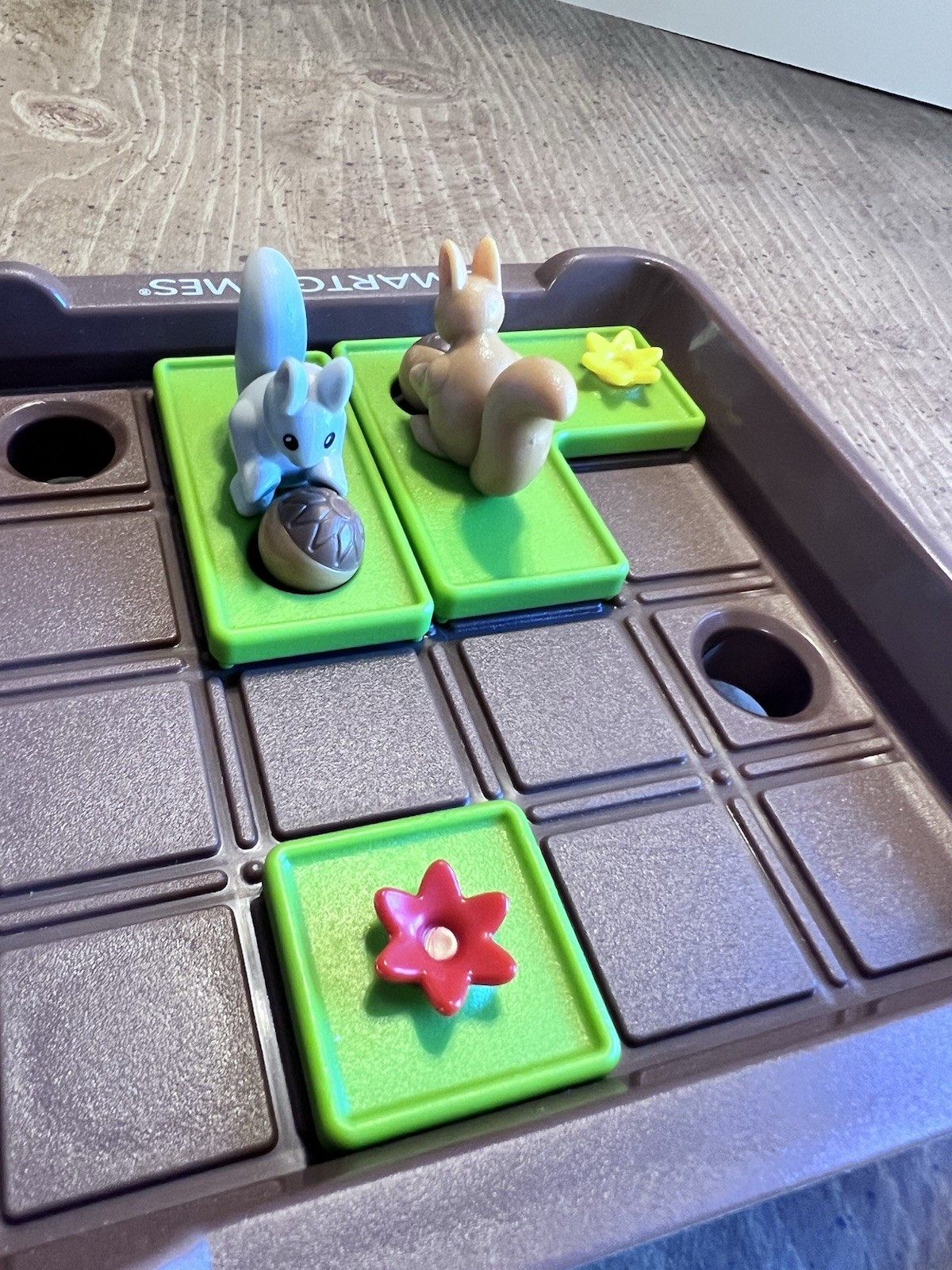Smart Games Squirrels Go Nuts Critical Thinking Puzzle Game For Kids