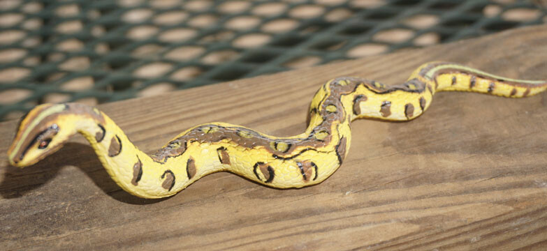 Python Replica – Little Slithering AAA Polyvinyl