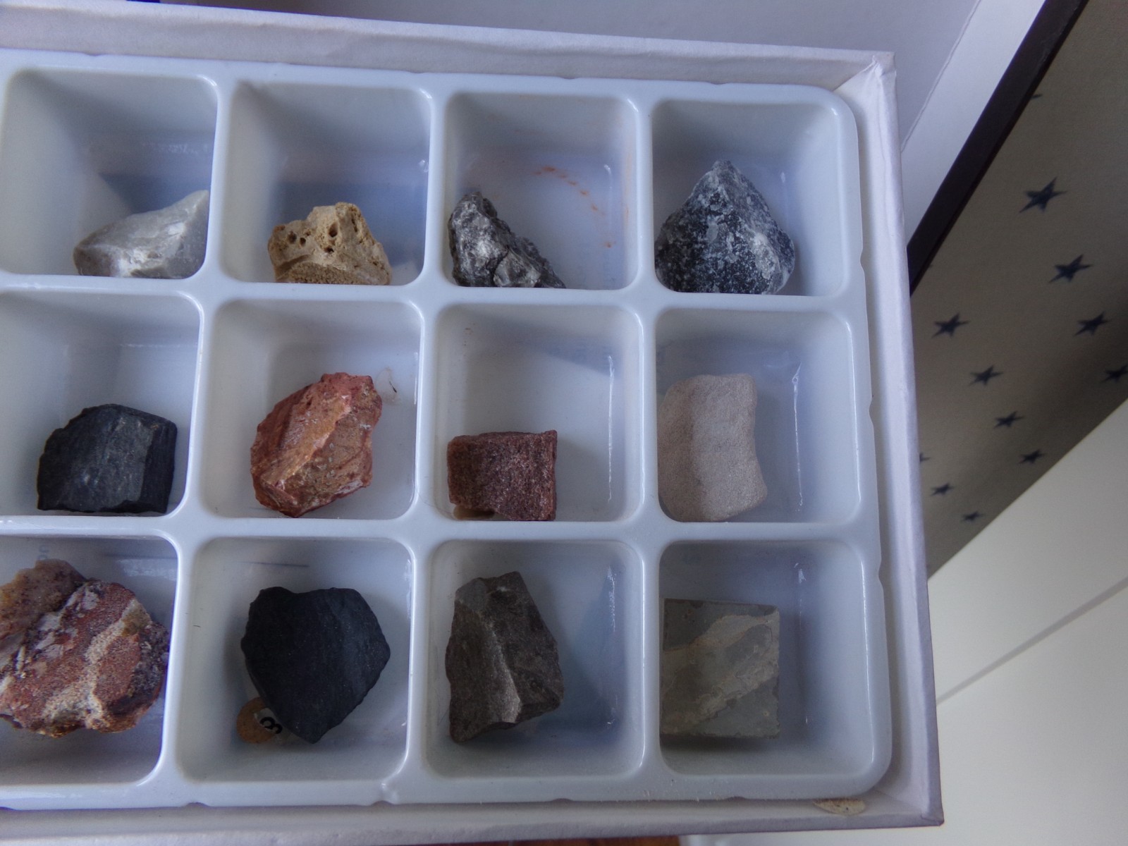 FLAWS Sedimentary Rocks Science Kit GeoCentral 15 Rocks Ages 8+ Magnifying Glass