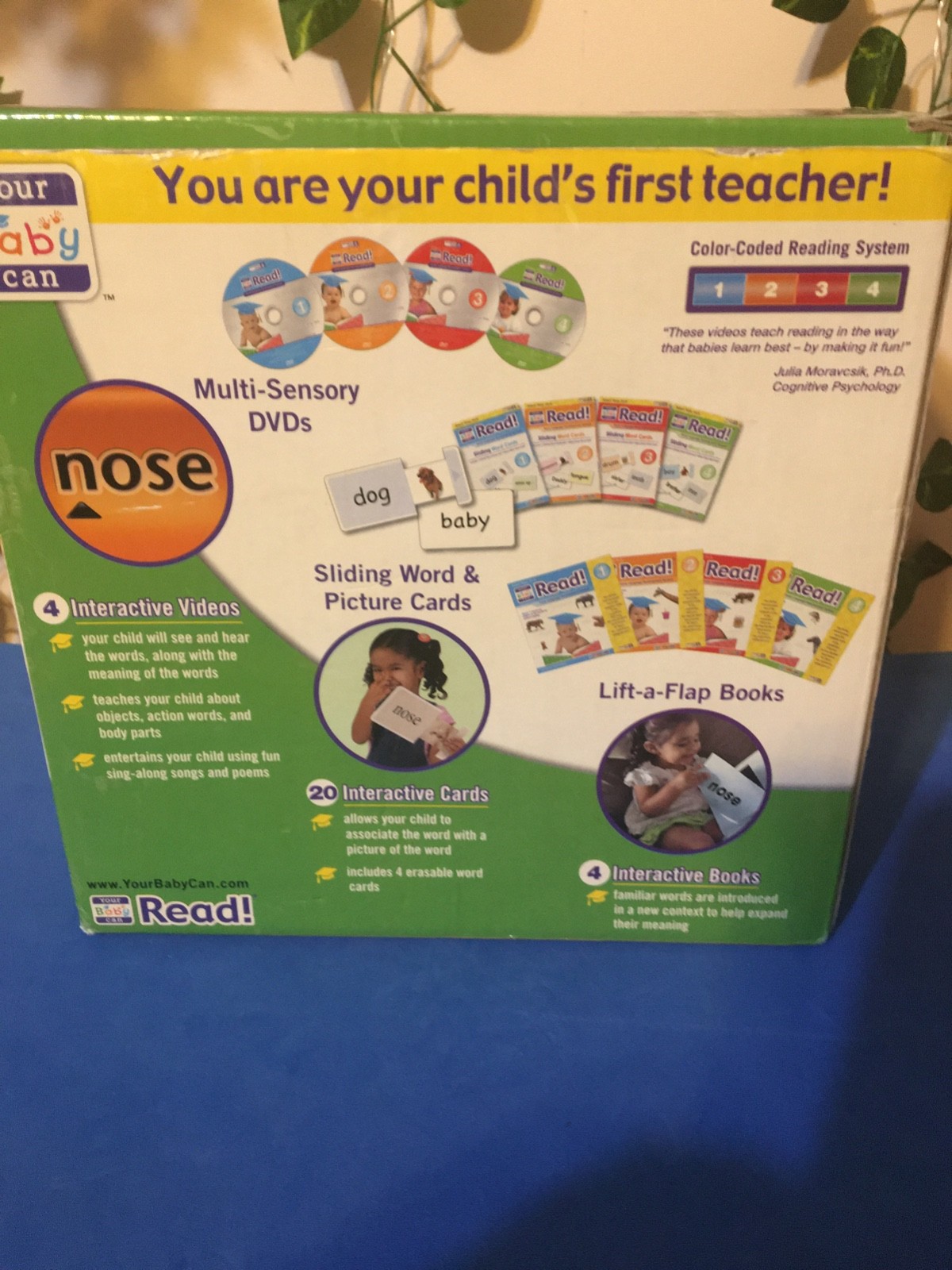Your Baby Can Read Early Language Development System DVD Books Cards Complete