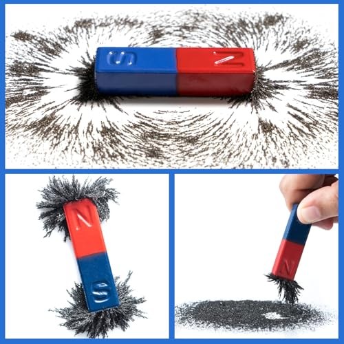 Iron Filings 8oz Powder for Magnet Science Education Experiments Magnetic Fields