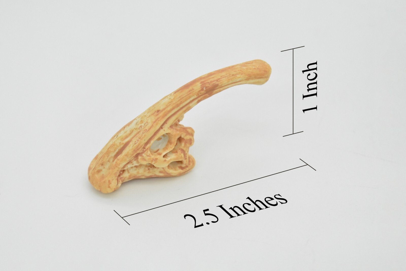 Parasaurolophus, Crested Lizard, Skull Fossil, Realistic Rubber Toy Model 2.5″