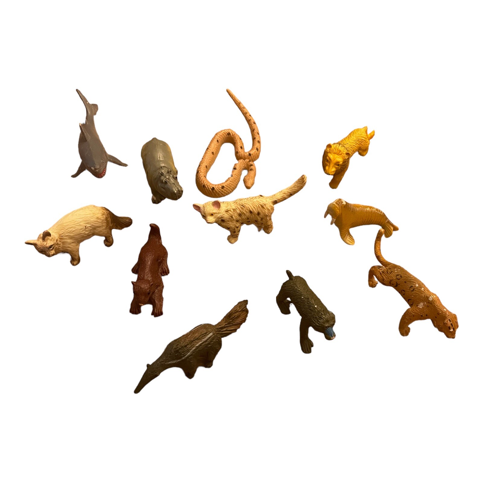 Safari Ltd Sea Animals Collection Baboon Rhino Walrus Egyptian Cat Jaguar Python
