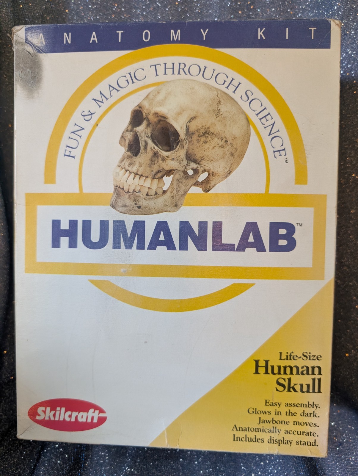 1993 Vintage Skilcraft Life-Size Human Skull Anatomy Kit