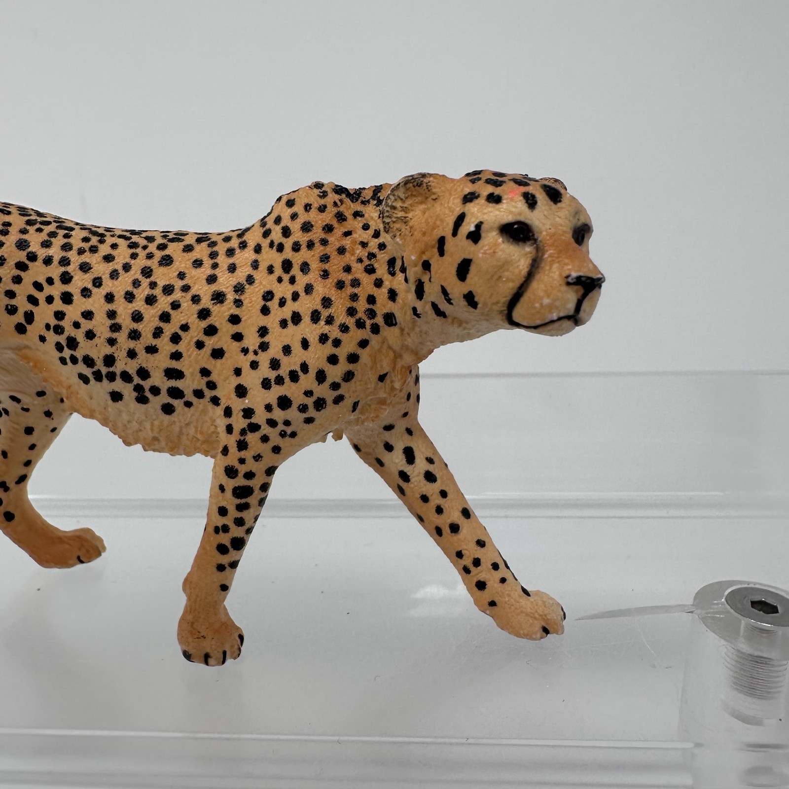 Schleich Cheetah Figure Spotted Large Cat Female Wildlife Zoo Animal Figurine
