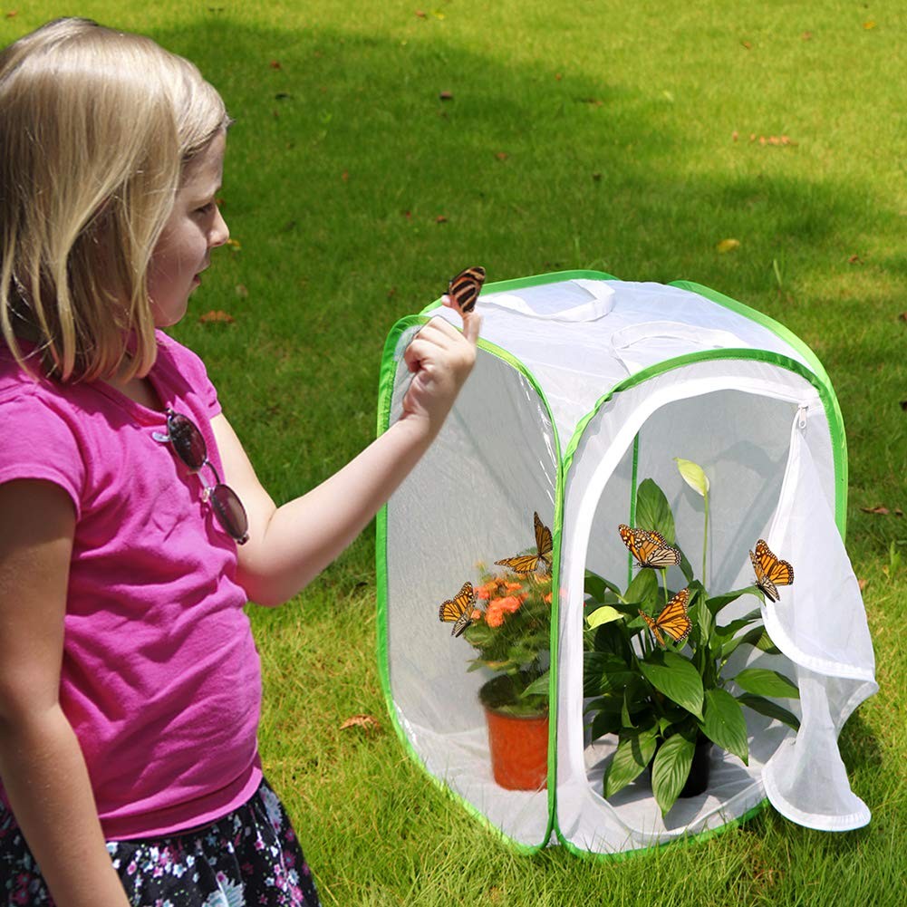 RESTCLOUD Professional Butterfly Habitat 15.7 x x 23.6 inches, Green