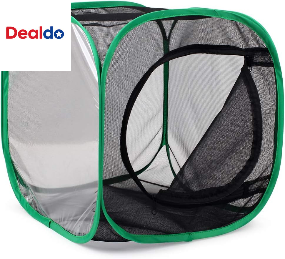 Insect and Butterfly Habitat Cage Terrarium Pop-Up 12 X 12 X 12 Inches