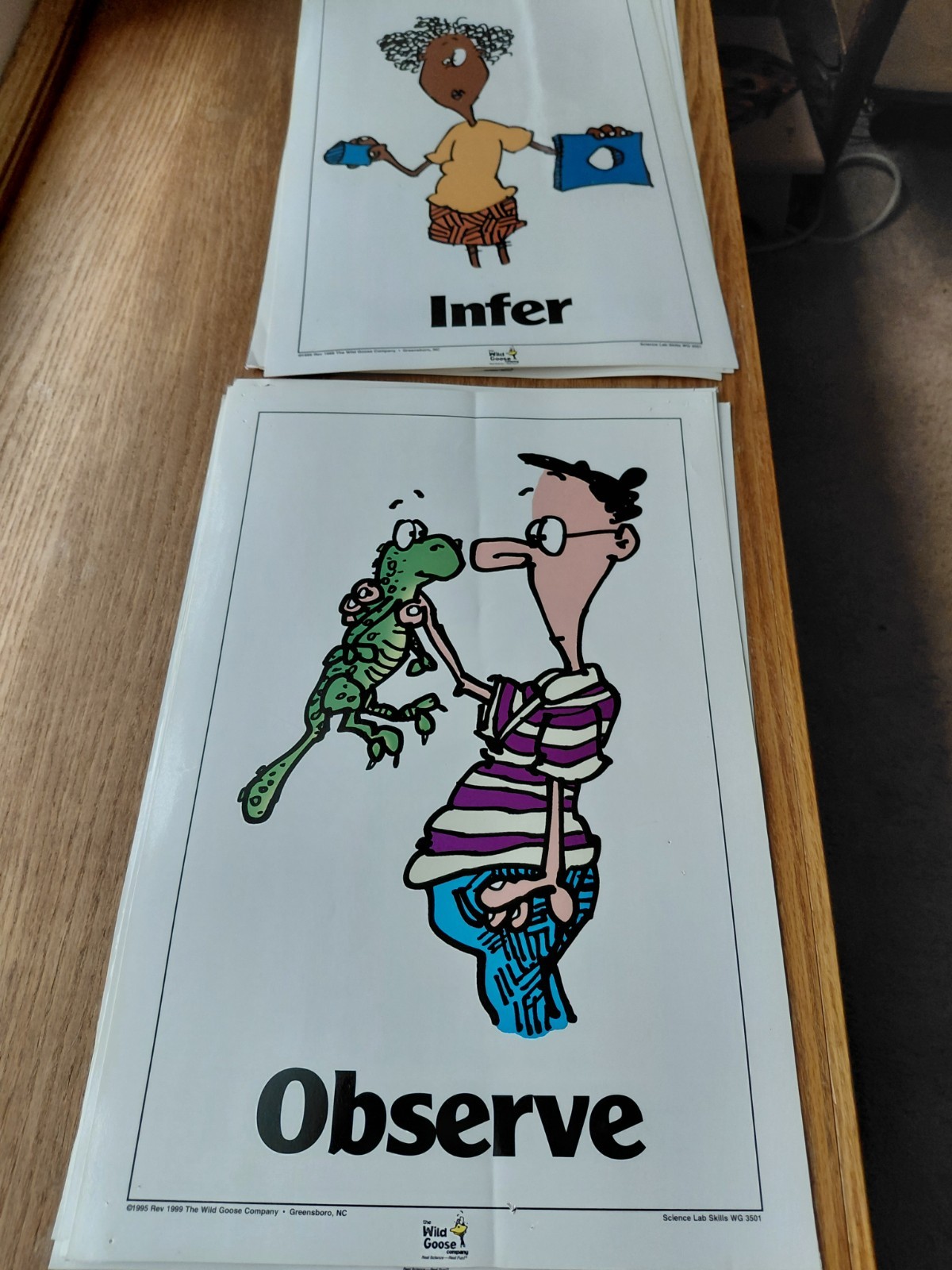 1995 Science Classroom 10 total Poster Set Used by Wild Goose Company 11 x 17