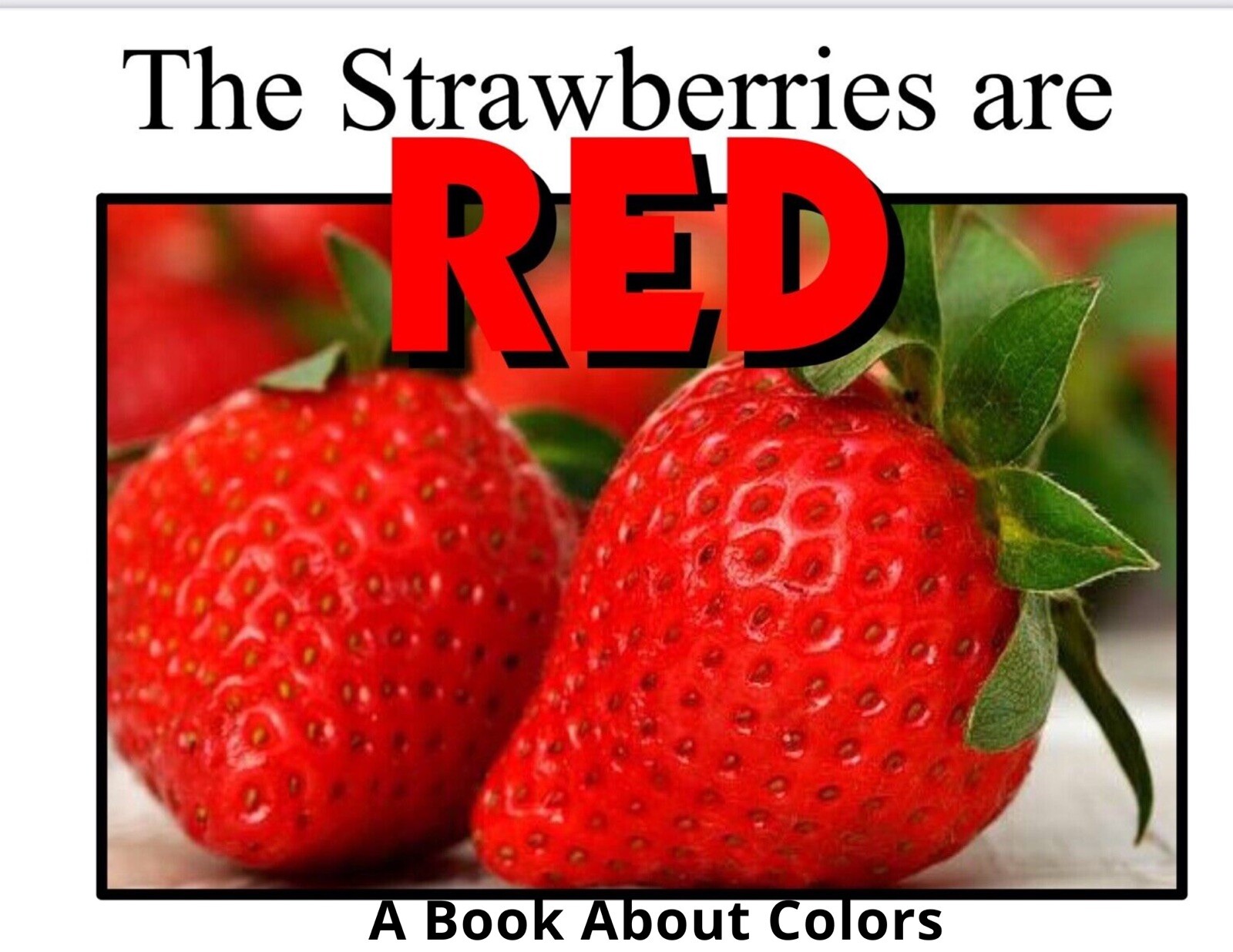Colors Series – 6 Book Set | LEARNING COLORS | Spiral Bound Picture Book SET 1