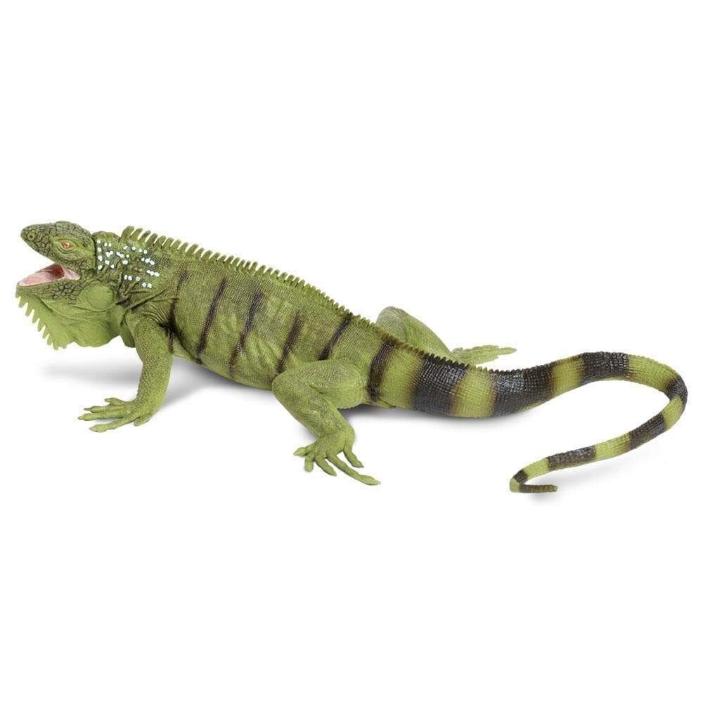 IGUANA Animal Figurine Safari Ltd toy Incredible Creatures