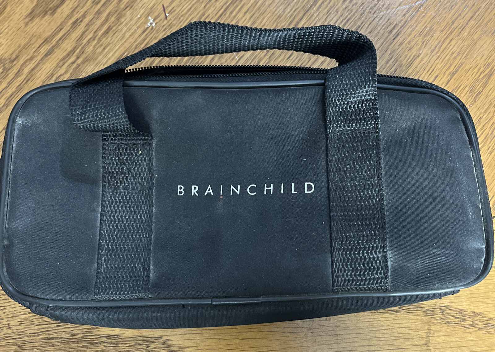 BRAIN CHILD STUDY BUDDY CONSOLES W/TAKS MATH AND CHARGER & BAG