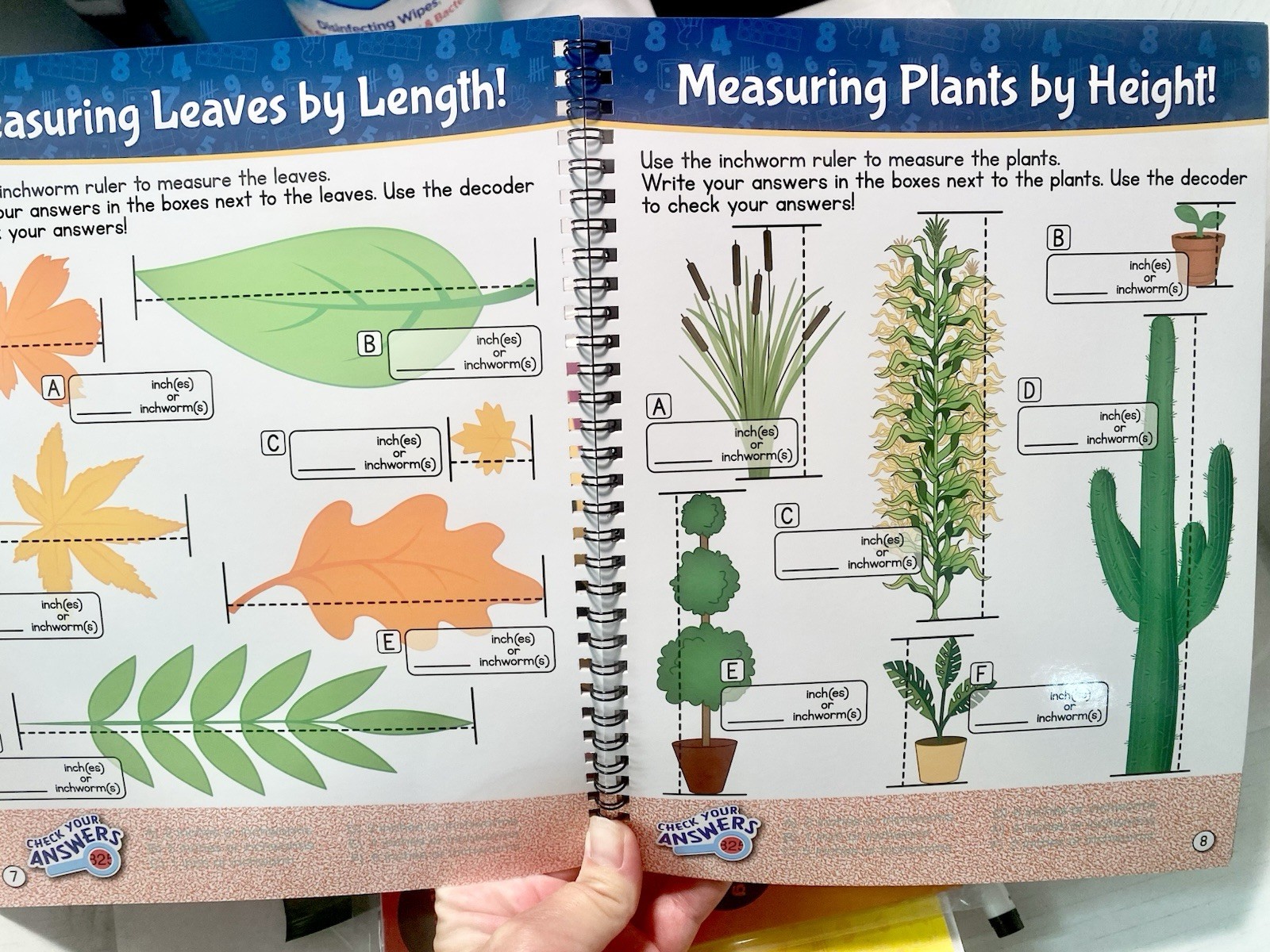 Homeschool Preschool Classroom 4+ Really Good Stuff Beginning Math Skills Kit