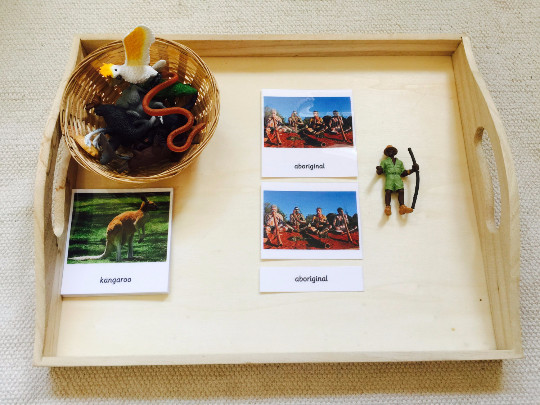 Montessori Knowing Australia 3 Parts Cards with Miniatures