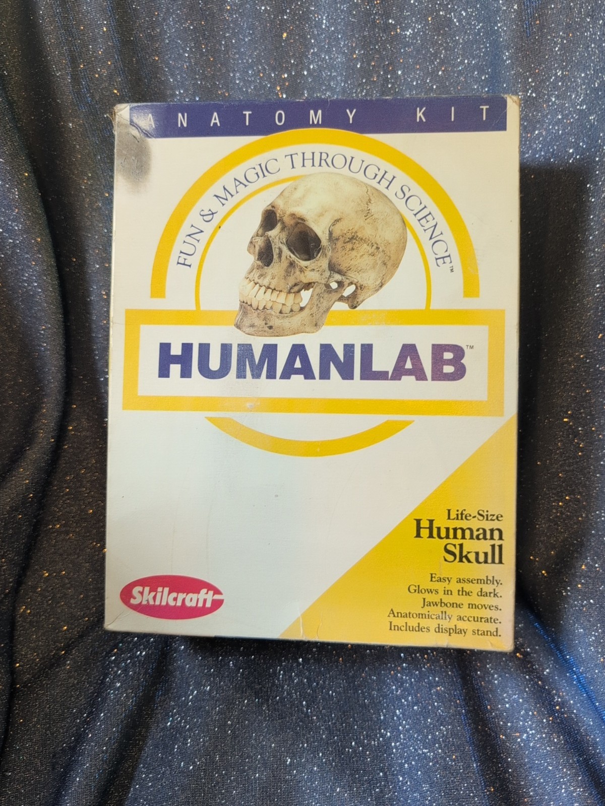 1993 Vintage Skilcraft Life-Size Human Skull Anatomy Kit