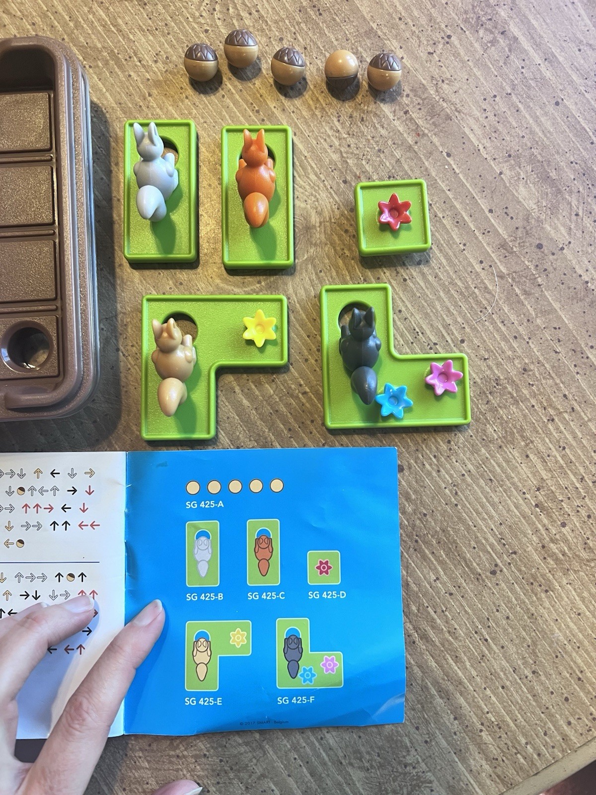 Smart Games Squirrels Go Nuts Critical Thinking Puzzle Game For Kids